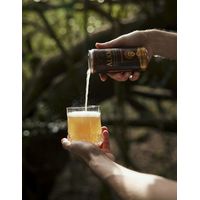 Alkmy Sparkling Tea African Ginger